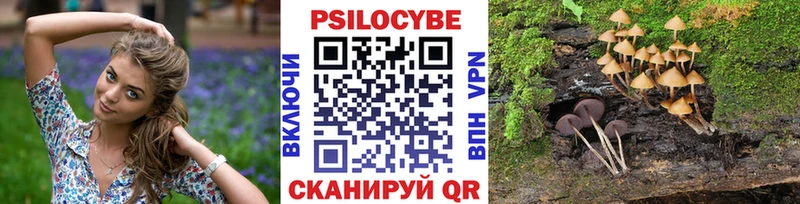 кракен онион  Краснообск  Псилоцибиновые грибы мухоморы  наркота 